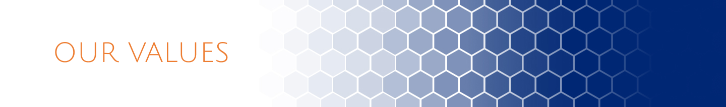 our values
